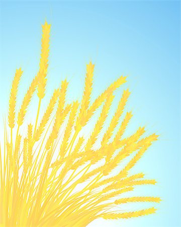 simsearch:400-04736849,k - Ears of wheat on blue sky background. EPS 10 vector illustration. Stock Photo - Budget Royalty-Free & Subscription, Code: 400-07034553