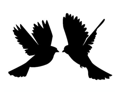 two flying birds on an orange background Photographie de stock - Aubaine LD & Abonnement, Code: 400-07035098