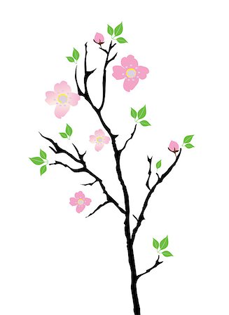 simsearch:400-04907882,k - vector cherry blossom Fotografie stock - Microstock e Abbonamento, Codice: 400-07035261