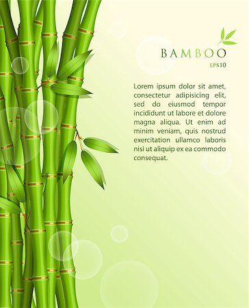 simsearch:400-07035863,k - Vector illustration of Background with green bamboo Stockbilder - Microstock & Abonnement, Bildnummer: 400-07035863