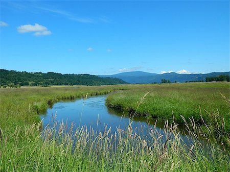 Beautiful Scenery at Steigerwald National Wildlife Refuge. Stock Photo - Budget Royalty-Free & Subscription, Code: 400-07035986