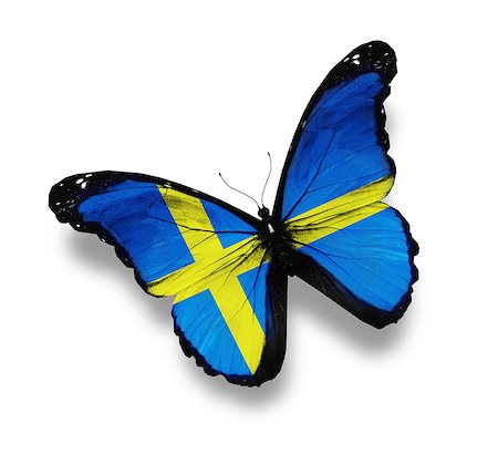 swedish flag - Swedish flag butterfly, isolated on white Stockbilder - Microstock & Abonnement, Bildnummer: 400-07036727