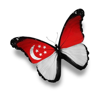 Singaporean flag butterfly, isolated on white Stock Photo - Budget Royalty-Free & Subscription, Code: 400-07036728