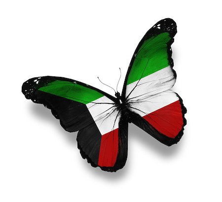 Kuwaiti flag butterfly, isolated on white Stock Photo - Budget Royalty-Free & Subscription, Code: 400-07036735