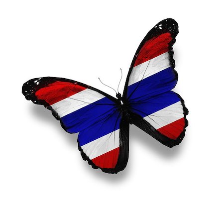 Thai flag butterfly, isolated on white Stock Photo - Budget Royalty-Free & Subscription, Code: 400-07036736