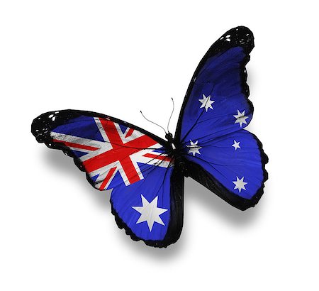 Australian flag butterfly, isolated on white Stock Photo - Budget Royalty-Free & Subscription, Code: 400-07036730