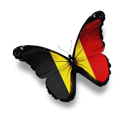 Belgian flag butterfly, isolated on white Stock Photo - Budget Royalty-Free & Subscription, Code: 400-07036731