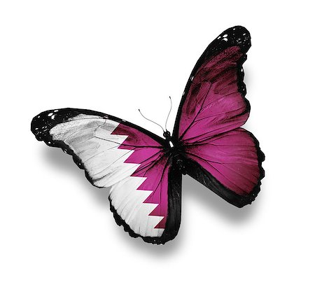 Qatari flag butterfly, isolated on white Stock Photo - Budget Royalty-Free & Subscription, Code: 400-07036733