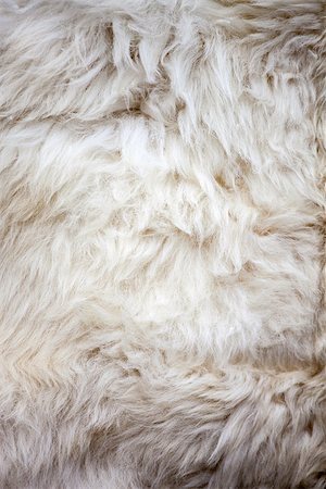 Washed white sheep fur texture suitable for background Foto de stock - Royalty-Free Super Valor e Assinatura, Número: 400-07036797