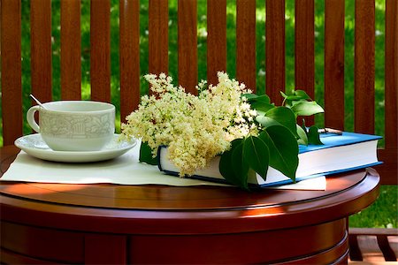 simsearch:400-04064749,k - On the table in the garden a book, a cup for tea and flowers Stock Photo - Budget Royalty-Free & Subscription, Code: 400-07036805