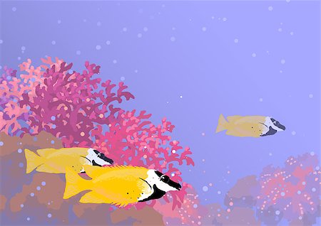 simsearch:400-07524567,k - Three fishes called "Foxface Rabbitfish" among the thickets of coral underwater. Horizontal background of A4 size Stock Photo - Budget Royalty-Free & Subscription, Code: 400-07038333