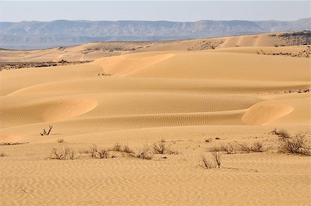 Desert Negev, Israel. View of sand dunes. Foto de stock - Royalty-Free Super Valor e Assinatura, Número: 400-07038407