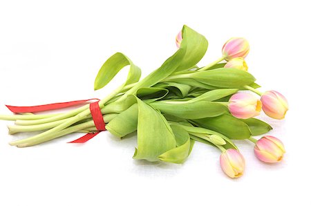 red ribbon and plant - Close-up view of a tulip bouquet on a white background. Stock Photo - Budget Royalty-Free & Subscription, Code: 400-07038408