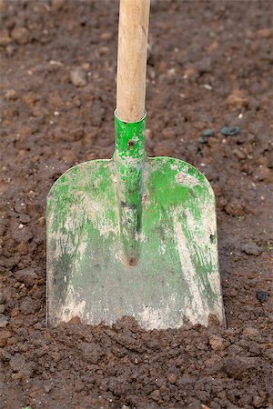 simsearch:400-06175558,k - A shovel put in the dirt in a garden Stock Photo - Budget Royalty-Free & Subscription, Code: 400-07038495