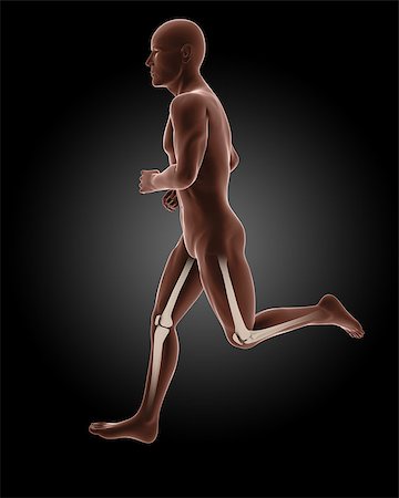 simsearch:400-04280645,k - 3D render of a running male medical skeleton Photographie de stock - Aubaine LD & Abonnement, Code: 400-07038656