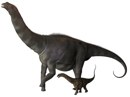 simsearch:400-07039388,k - Argentinosaurus was a titanosaur sauropod dinosaur from the Cretaceous epoch in Argentina. Stockbilder - Microstock & Abonnement, Bildnummer: 400-07039387