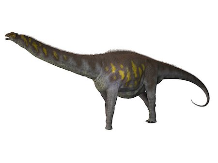 simsearch:400-07039388,k - Argentinosaurus was a titanosaur sauropod dinosaur from the Cretaceous epoch in Argentina. Stockbilder - Microstock & Abonnement, Bildnummer: 400-07039388
