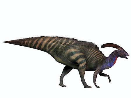 simsearch:400-07039388,k - Parasaurolophus was a herbivorous dinosaur in the Cretaceous which walked as a biped and also a quadruped. Stockbilder - Microstock & Abonnement, Bildnummer: 400-07039398