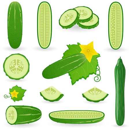 Vector illustration of cucumber Stock Photo - Budget Royalty-Free & Subscription, Code: 400-07039666