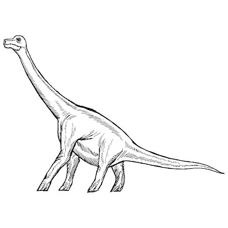 simsearch:400-08161528,k - hand drawn, vector, sketch illustration of brachiosaurus Foto de stock - Royalty-Free Super Valor e Assinatura, Número: 400-07032691