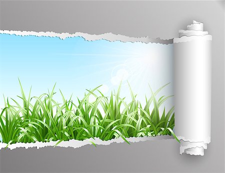 paper torn curl - The window in the summer. Torn paper with opening showing summer background with grass. Vector illustration Foto de stock - Super Valor sin royalties y Suscripción, Código: 400-07033267