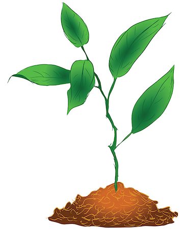 simsearch:400-05175967,k - Sprout sprig in the ground. Vector illustration. Stock Photo - Budget Royalty-Free & Subscription, Code: 400-07033946