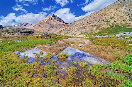 Helen Lake summer meadows Fotografie stock - Microstock e Abbonamento, Codice: 400-07044712