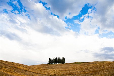 rainy italy - San Quirico, d'Orcia, Tuscany. A group of cypresses just before the storm arrival Stock Photo - Budget Royalty-Free & Subscription, Code: 400-07044848