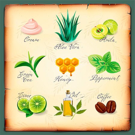 Set of natural cosmetics ingredients, vector Eps10 image. Stock Photo - Budget Royalty-Free & Subscription, Code: 400-07044965