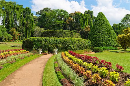 royal blue - Beautiful tropical Royal Botanical Gardens, Peradeniya, Kandy, Sri Lanka Stock Photo - Budget Royalty-Free & Subscription, Code: 400-07045176