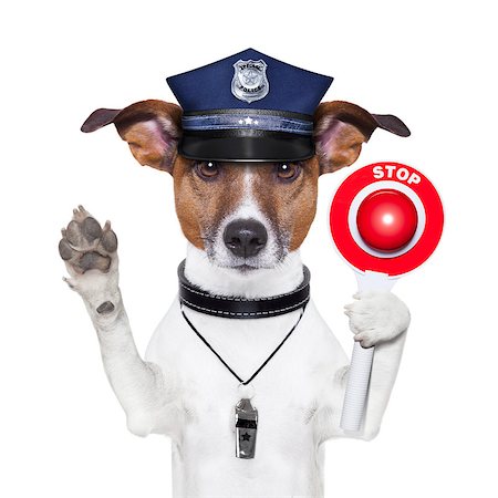 police dog with a street stop sign Foto de stock - Super Valor sin royalties y Suscripción, Código: 400-07045442