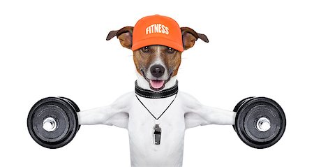 simsearch:400-08694289,k - personal  trainer dog with dumbbells and a whistle Stock Photo - Budget Royalty-Free & Subscription, Code: 400-07045450
