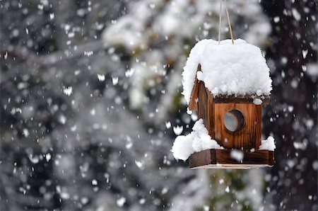 A snow covered bird house in winter with snowflakes falling down. Stockbilder - Microstock & Abonnement, Bildnummer: 400-07045637