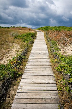 simsearch:695-05776850,k - Wooden path to the sea over dunes in Lithuania Stock Photo - Budget Royalty-Free & Subscription, Code: 400-07045771