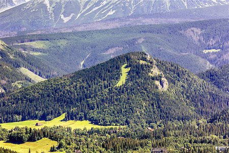 simsearch:400-07096024,k - Nosal peak, a familiar place for winter sports in Zakopane shown in the height of summer Stock Photo - Budget Royalty-Free & Subscription, Code: 400-07046162