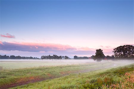 drenthe - fog over summer meadow in sunrise, Drenthe Foto de stock - Royalty-Free Super Valor e Assinatura, Número: 400-07046549