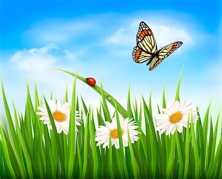 simsearch:400-05731622,k - Nature background with green grass, flowers and a butterfly. Vector. Stock Photo - Budget Royalty-Free & Subscription, Code: 400-07048523