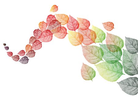 colorful autumn leaves flying in the wind, vector background illustration Stock Photo - Budget Royalty-Free & Subscription, Code: 400-07049975