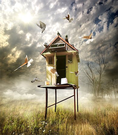 dove flying - Wooden dovecote in the field in cloudy day Stock Photo - Budget Royalty-Free & Subscription, Code: 400-07049988