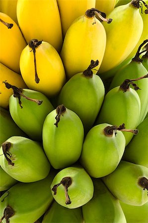 Front view of Raw green and Yellow ripe bananas Fotografie stock - Microstock e Abbonamento, Codice: 400-07040053