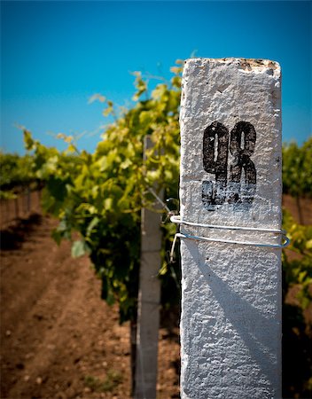 simsearch:695-03381489,k - White column on a background of blue sky and the vineyard, agriculture tinted background. Stock Photo - Budget Royalty-Free & Subscription, Code: 400-07040365