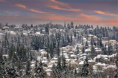 pastel pink house - Winter Snow Scene in North America Suburbs Neighborhood Nestled Amongst Trees at Sunset Stock Photo - Budget Royalty-Free & Subscription, Code: 400-07040648