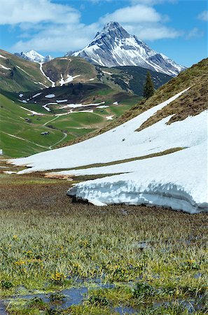 Summer mountain view to Biberkopf mount and snow thawing meadow (Warth, Vorarlberg, Austria). Stockbilder - Microstock & Abonnement, Bildnummer: 400-07042024