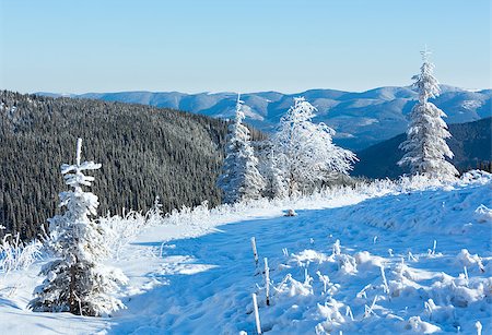 simsearch:400-06861143,k - Morning winter mountain landscape with snowy trees on slope. Foto de stock - Super Valor sin royalties y Suscripción, Código: 400-07042044
