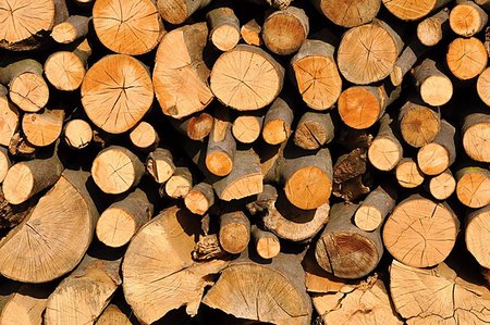 simsearch:400-05736665,k - Dry stacked firewood ready for the long winter Fotografie stock - Microstock e Abbonamento, Codice: 400-07043045