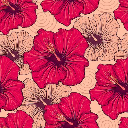 Vector illustration of seamless pattern with hand drawn hibiscus flowers Stock Photo - Budget Royalty-Free & Subscription, Code: 400-07043997