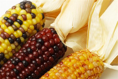 simsearch:400-04360457,k - Close Up Of Three Colourful Dried Indian Corns Photographie de stock - Aubaine LD & Abonnement, Code: 400-07054848