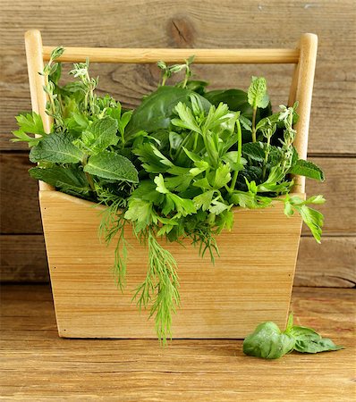 simsearch:600-03171573,k - various herbs (basil, thyme, parsley, mint and dill) on wooden background Stockbilder - Microstock & Abonnement, Bildnummer: 400-07055693