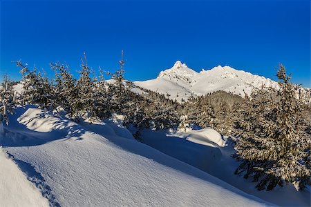 simsearch:400-07309307,k - mountain top in winter, Ciucas Mountains, Romania Stockbilder - Microstock & Abonnement, Bildnummer: 400-07055927