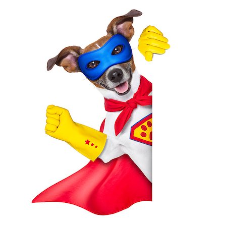 super hero dog with  red cape and a  blue mask beside a blank banner Photographie de stock - Aubaine LD & Abonnement, Code: 400-07055959